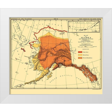 Alaska Bear Habitat - Bien 1882 White Modern Wood Framed Art Print by Bien