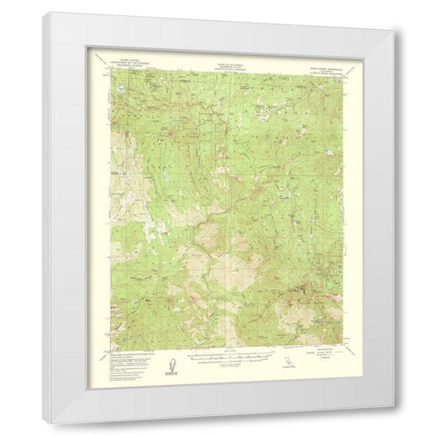Giant Forest California Quad - USGS 1961 White Modern Wood Framed Art Print by USGS