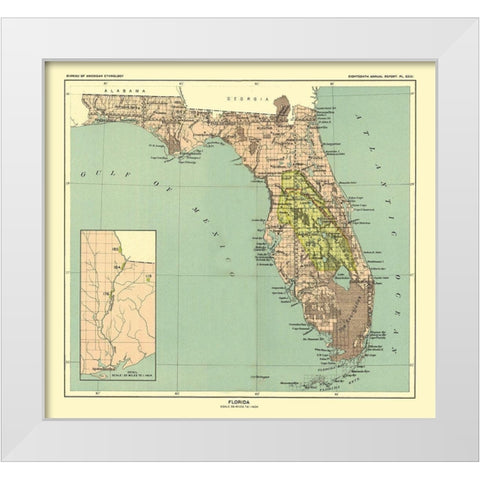Florida - Hoen 1896 White Modern Wood Framed Art Print by Hoen