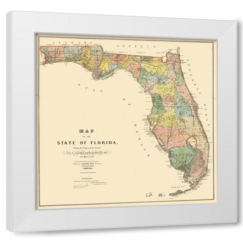 Florida - Drew 1856  White Modern Wood Framed Art Print by Drew