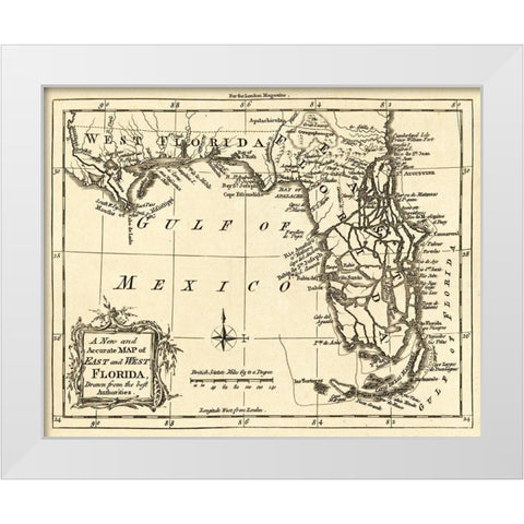 Florida -1765 White Modern Wood Framed Art Print by Unknown