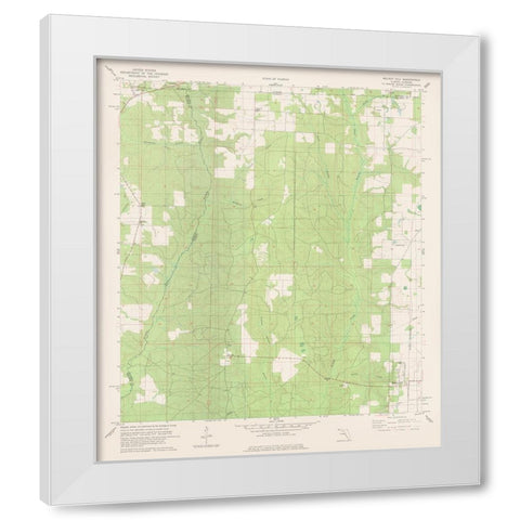 Walnut Hill Florida Quad - USGS 1978 White Modern Wood Framed Art Print by USGS