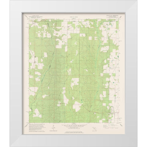 Walnut Hill Florida Quad - USGS 1978 White Modern Wood Framed Art Print by USGS