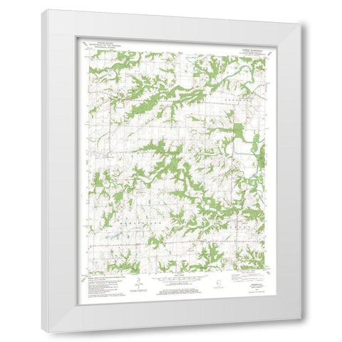 Camden Illinois Quad - USGS 1981 White Modern Wood Framed Art Print by USGS