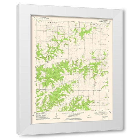 Doddsville Illinois Quad - USGS 1974 White Modern Wood Framed Art Print by USGS
