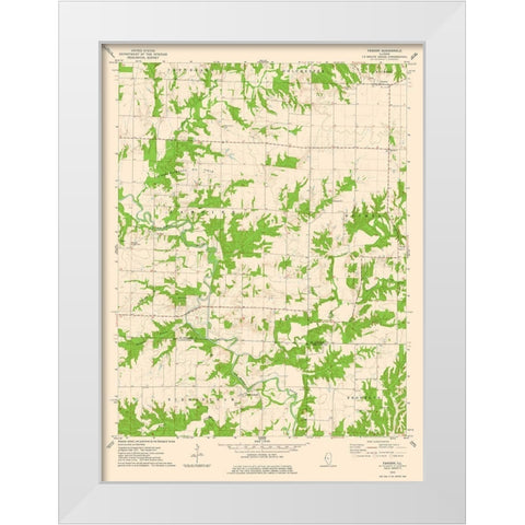 Fandon Illinois Quad - USGS 1974 White Modern Wood Framed Art Print by USGS
