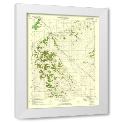 Oakford Illinois Quad - USGS 1971 White Modern Wood Framed Art Print by USGS