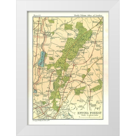 Epping Forest London England - Philip 1904 White Modern Wood Framed Art Print by Philip