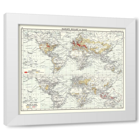 Global Barley Millet Sago - Bartholomew 1907 White Modern Wood Framed Art Print by Bartholomew