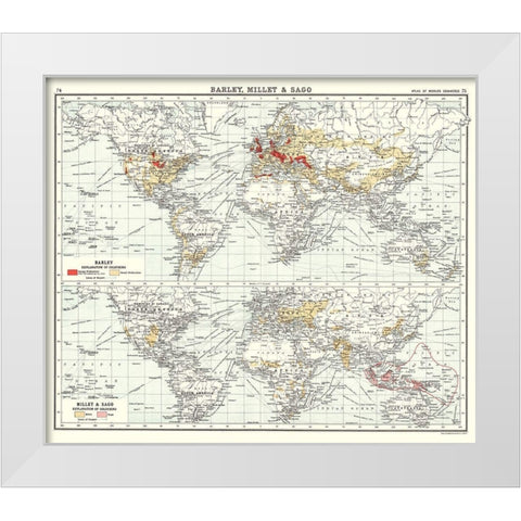 Global Barley Millet Sago - Bartholomew 1907 White Modern Wood Framed Art Print by Bartholomew