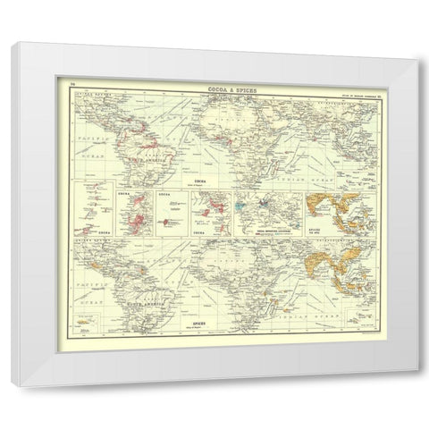 Global Cocoa Spices - Bartholomew 1907 White Modern Wood Framed Art Print by Bartholomew