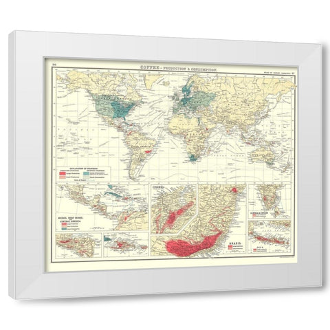Global Coffee Production Consumption White Modern Wood Framed Art Print by Bartholomew