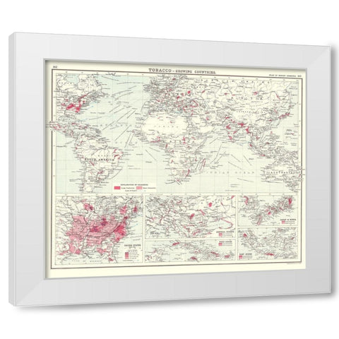 Global Tobacco Growing Countries - Bartholomew White Modern Wood Framed Art Print by Bartholomew