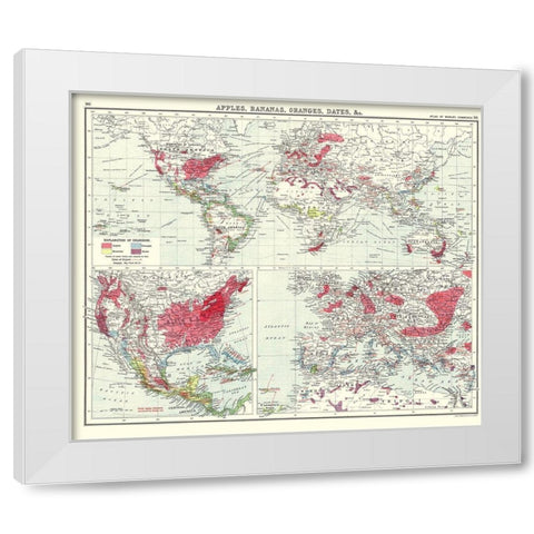 Apples Bananas Oranges Dates World - Newnes 1907 White Modern Wood Framed Art Print by Newnes