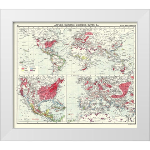 Apples Bananas Oranges Dates World - Newnes 1907 White Modern Wood Framed Art Print by Newnes