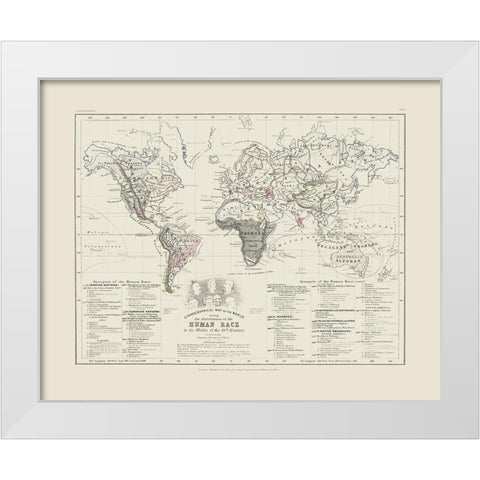 Human Races 19th Century - Petermann White Modern Wood Framed Art Print by Petermann