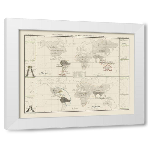 World Herpetological - 1845 White Modern Wood Framed Art Print by Unknown