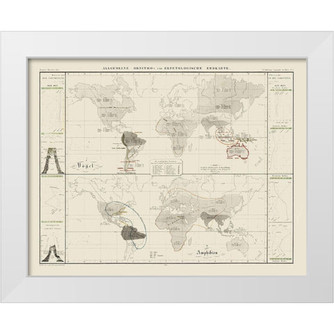 World Herpetological - 1845 White Modern Wood Framed Art Print by Unknown