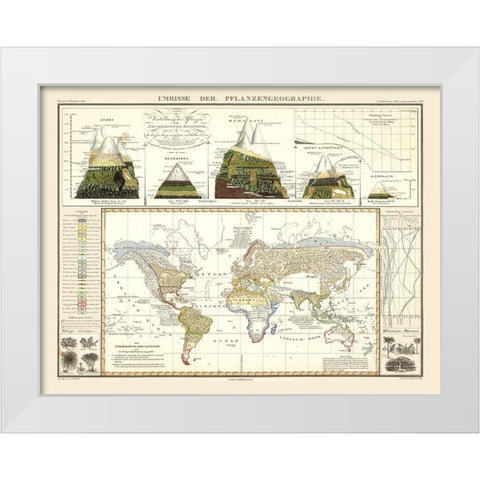 World Plant Geography - Perthes 1838 White Modern Wood Framed Art Print by Perthes