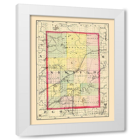 Newaygo Michigan - Walling 1873 White Modern Wood Framed Art Print by Walling