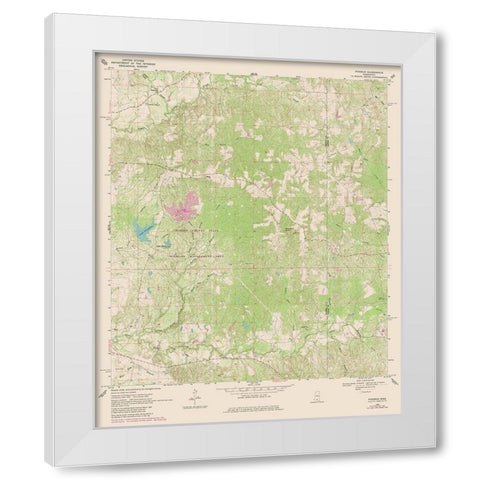 Pinebur Mississippi Quad - USGS 1969 White Modern Wood Framed Art Print by USGS
