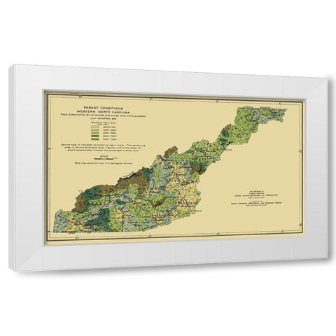 Western North Carolina Forest Conditions 1909 White Modern Wood Framed Art Print by USFS