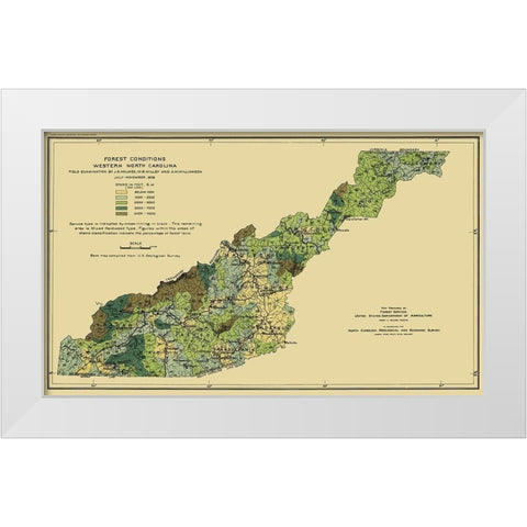 Western North Carolina Forest Conditions 1909 White Modern Wood Framed Art Print by USFS