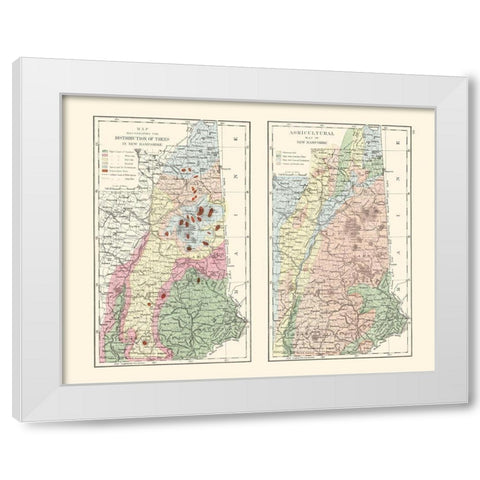 New Hampshire Agricultural - Hitchcock 1877 White Modern Wood Framed Art Print by Hitchcock