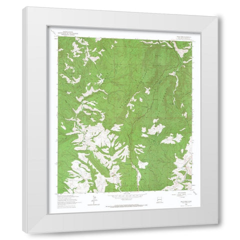Salize Pass New Mexico Quad - USGS 1963 White Modern Wood Framed Art Print by USGS