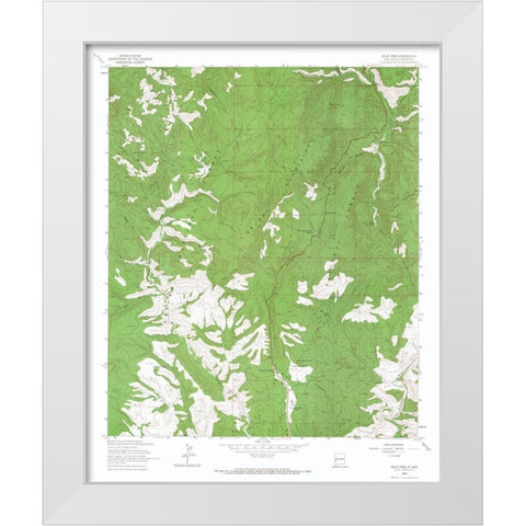 Salize Pass New Mexico Quad - USGS 1963 White Modern Wood Framed Art Print by USGS