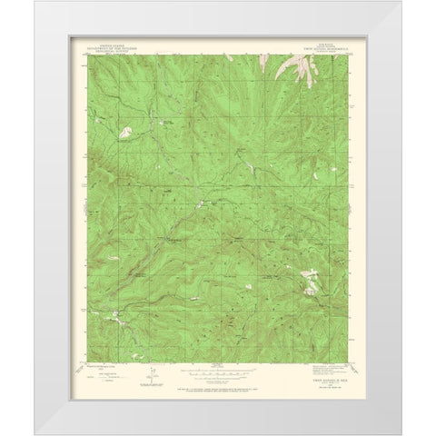 Twin Sisters New Mexico Quad - USGS 1947 White Modern Wood Framed Art Print by USGS