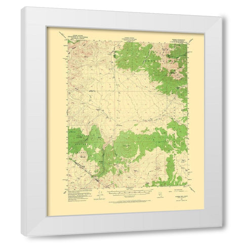 Aurora Nevada California Quad - USGS 1956 White Modern Wood Framed Art Print by USGS