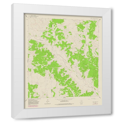 Bailey Draw Texas Quad - USGS 1964 White Modern Wood Framed Art Print by USGS