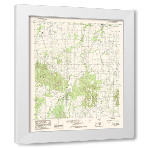 Buffalo Gap Texas Quad - USGS 1984 White Modern Wood Framed Art Print by USGS