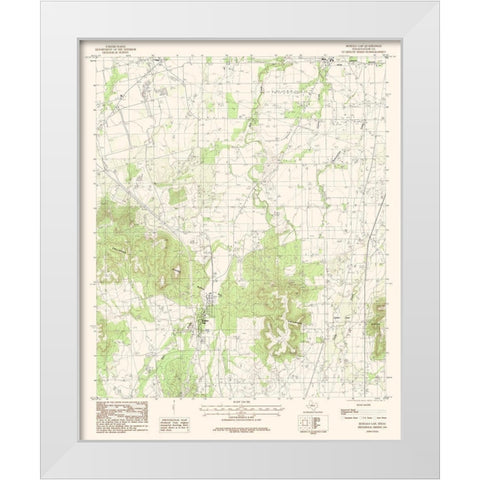 Buffalo Gap Texas Quad - USGS 1984 White Modern Wood Framed Art Print by USGS