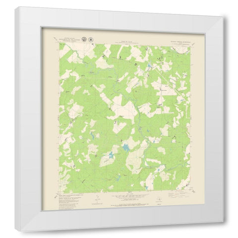 Blanket Springs Texas Quad - USGS 1979 White Modern Wood Framed Art Print by USGS