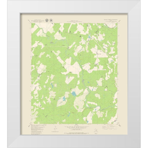 Blanket Springs Texas Quad - USGS 1979 White Modern Wood Framed Art Print by USGS