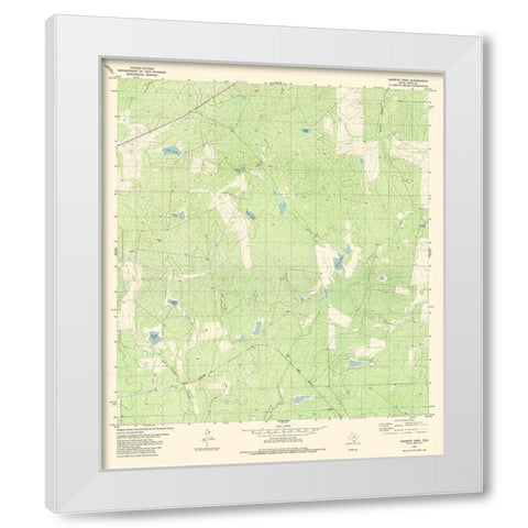 Burrito Tank Texas Quad - USGS 1980 White Modern Wood Framed Art Print by USGS