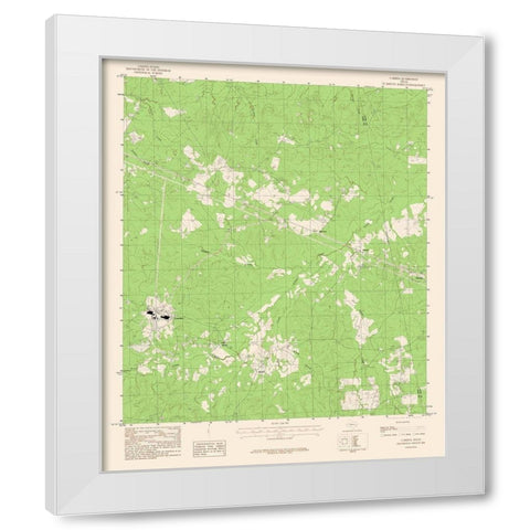 Camden Texas Quad - USGS 1979 White Modern Wood Framed Art Print by USGS