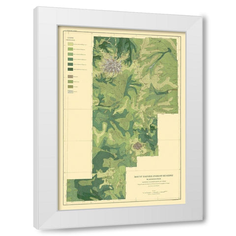 Mount Rainier Forest Washington 1899 White Modern Wood Framed Art Print by Bien