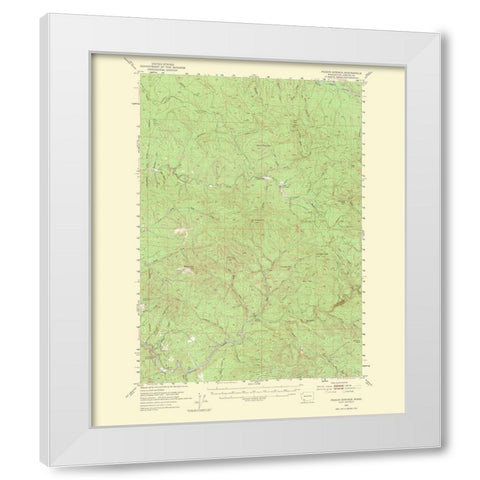 Pigeon Springs Washington Quad - USGS 1965 White Modern Wood Framed Art Print by USGS