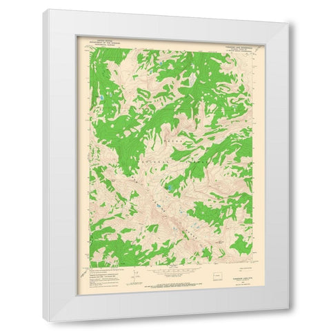 Turquoise Lake Wyoming Quad - USGS 1965 White Modern Wood Framed Art Print by USGS