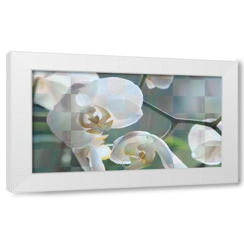 Checkered Orchid White Modern Wood Framed Art Print by Bartola