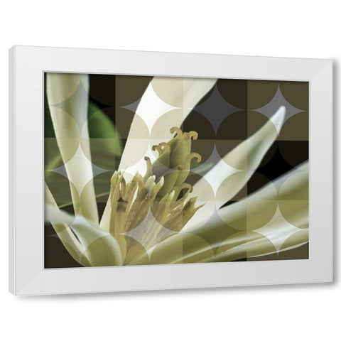 Floral Design II White Modern Wood Framed Art Print by Bartola
