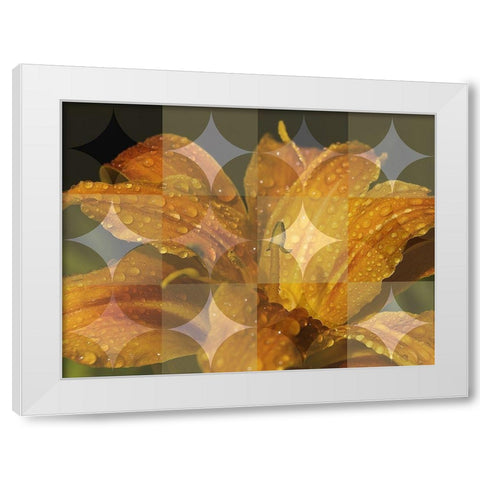 Floral Design VII White Modern Wood Framed Art Print by Bartola