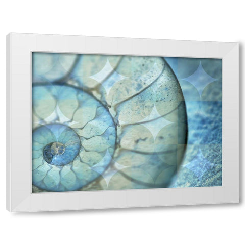 La Concha Marsala White Modern Wood Framed Art Print by Bartola