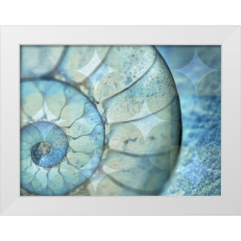 La Concha Marsala White Modern Wood Framed Art Print by Bartola