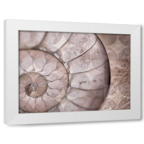 La Concha I White Modern Wood Framed Art Print by Bartola