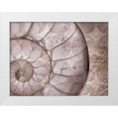 La Concha I White Modern Wood Framed Art Print by Bartola