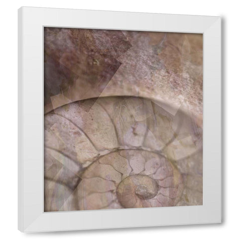 La Concha II Marsala White Modern Wood Framed Art Print by Bartola